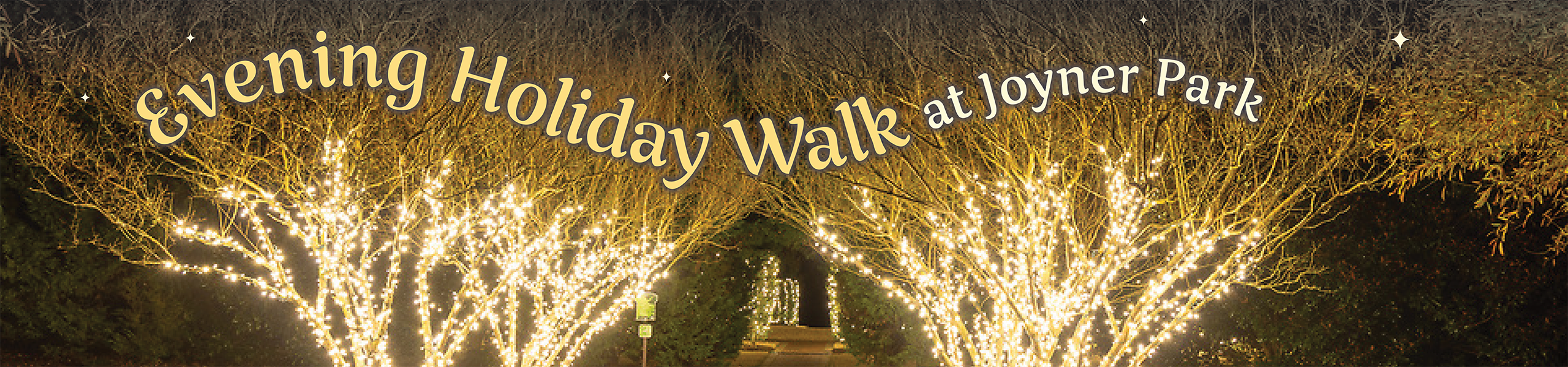 Evening Holiday Walk