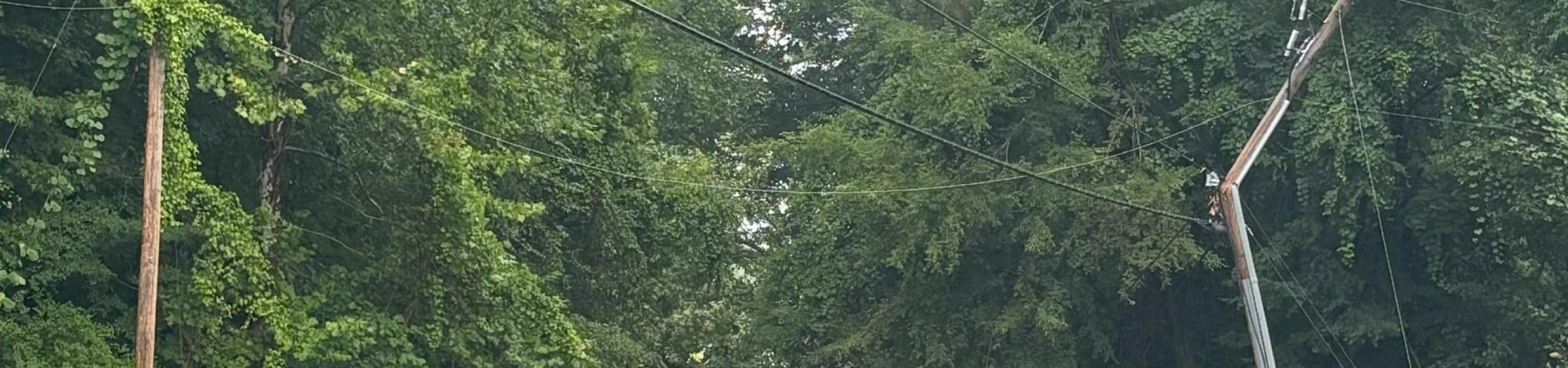 Jenkins Road