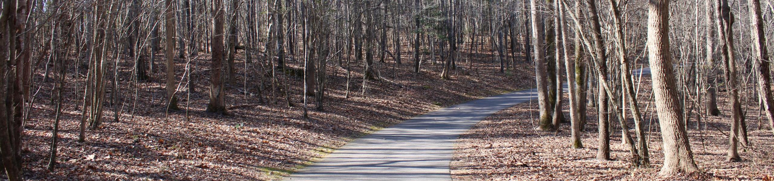 Sanford Creek Greenwway