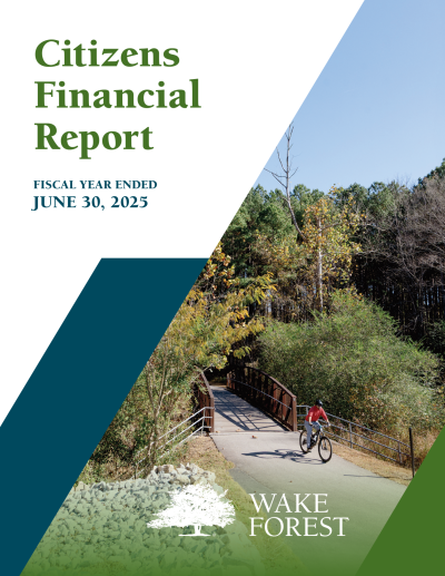 2025 Citizens Financial Report
