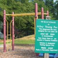 Welcome signage at Ailey Young Park.