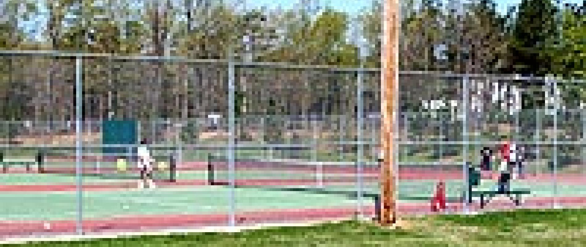 Flaherty Park Tennis Courts