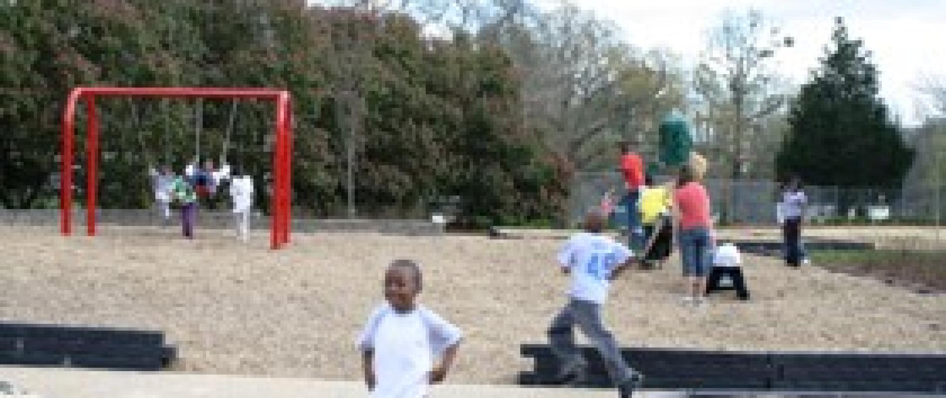 Kids Playing at the Park