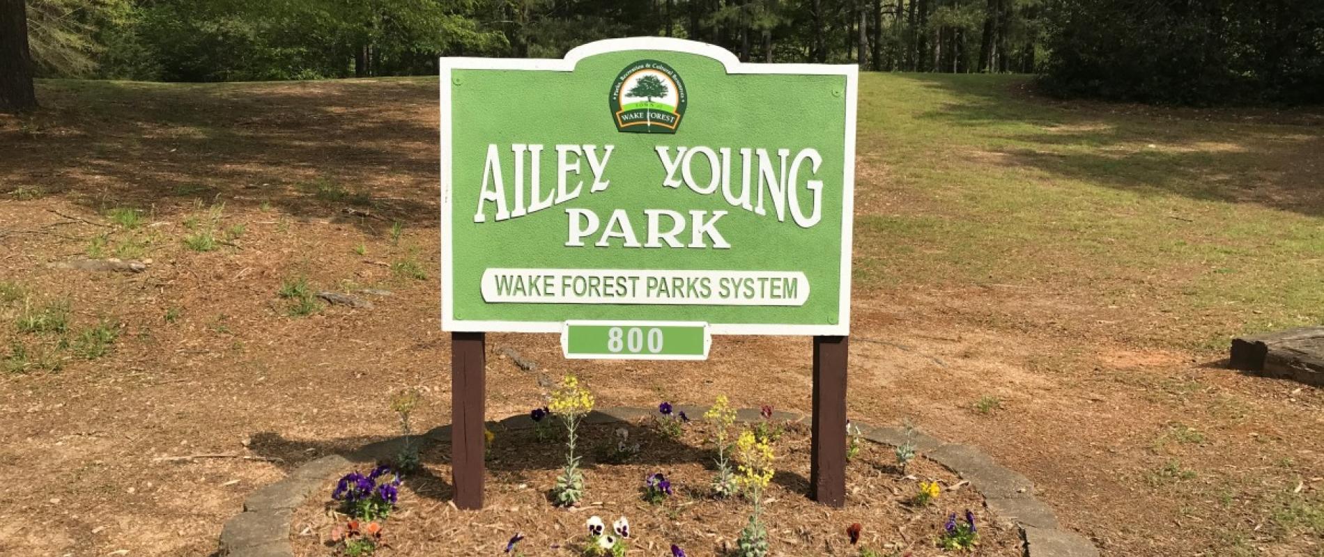 Ailey Young Sign