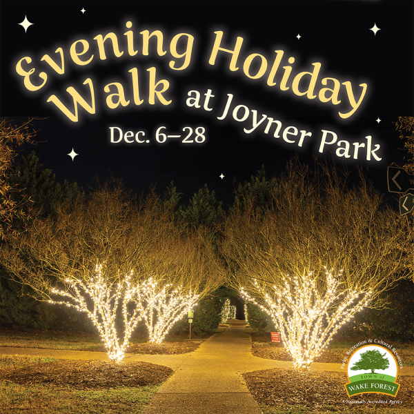 Evening Holiday Walk