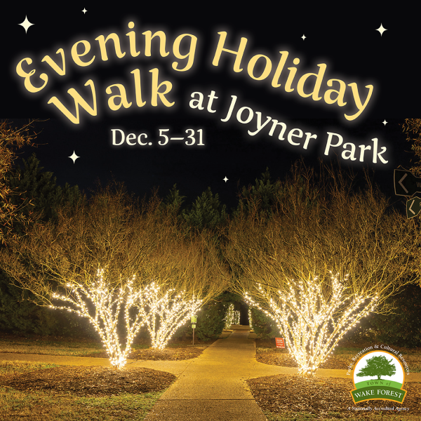 Evening Holiday Walk at Joyner Park