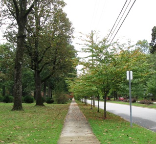 Side Walk with Trees