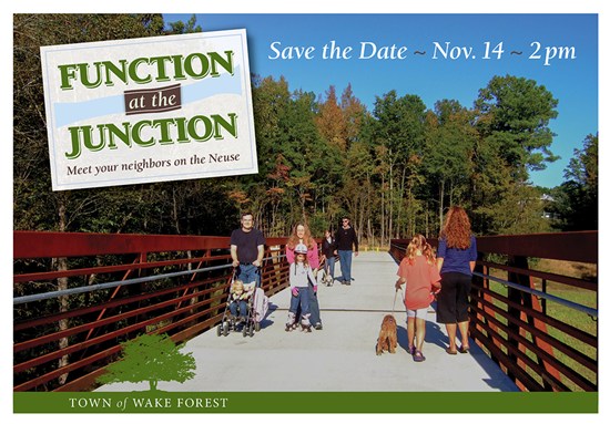 Function at the Junction