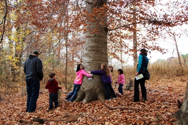 Kids hugging at tree in the park