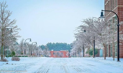 Taylor street Covered in Snow near Town Hall