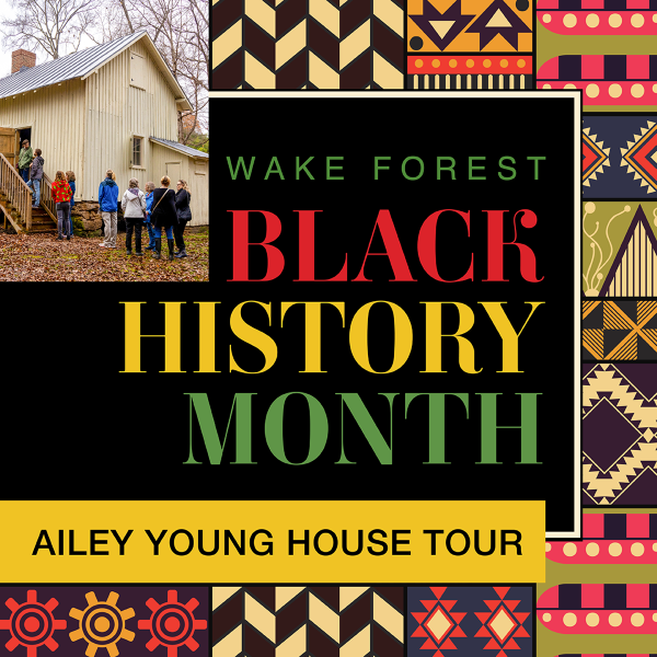 Ailey Young House Tour