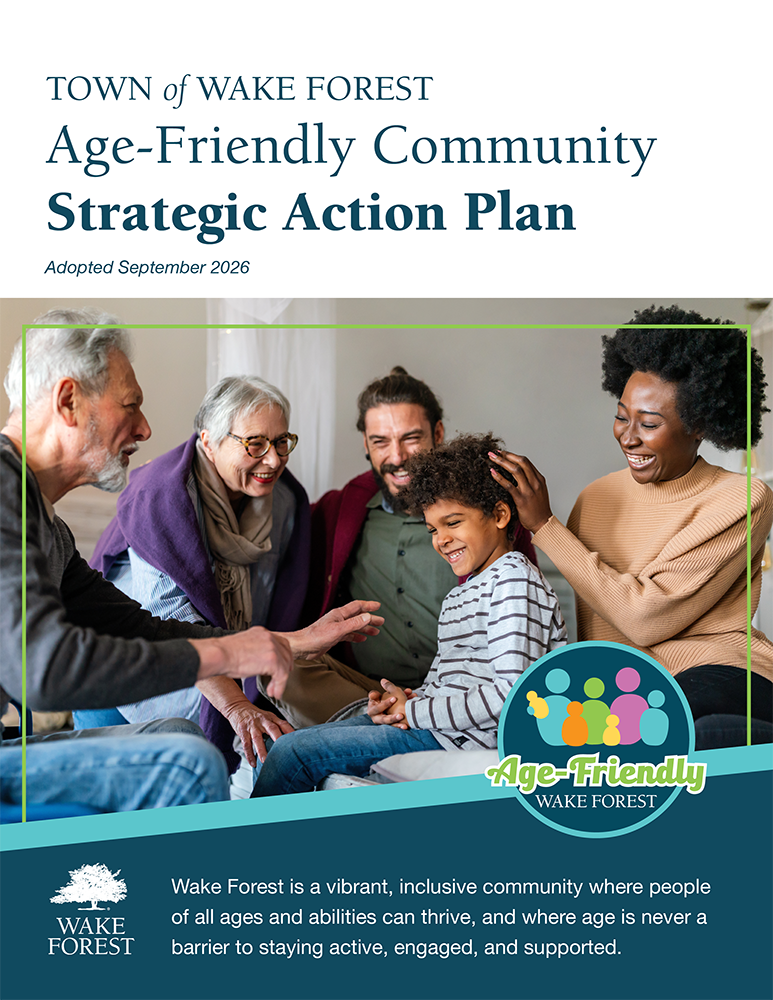 Strategic Action Plan cover
