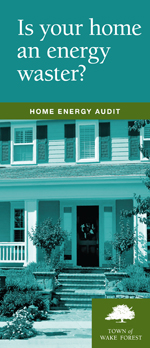 Home Energy Audit Program
