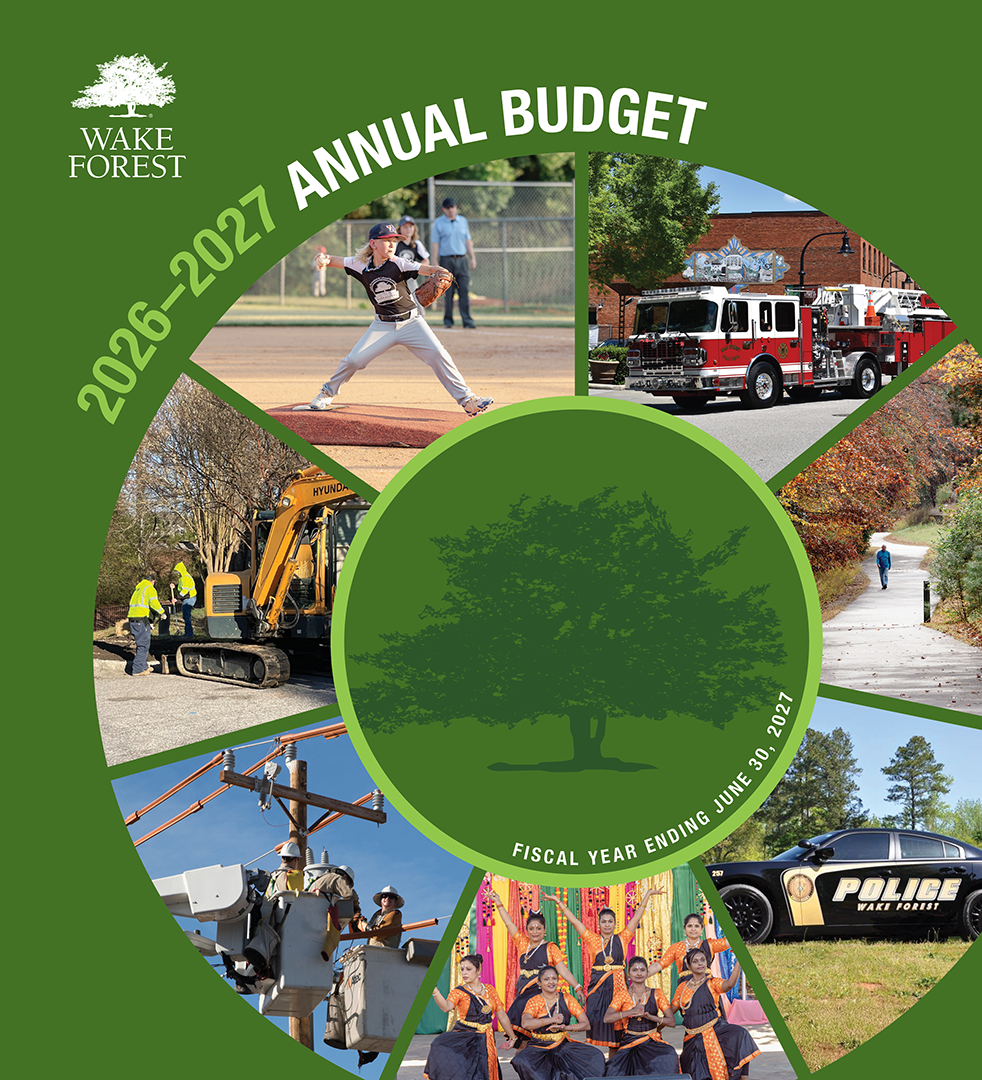 Budget Cover