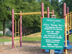 Welcome to Ailey Young Park