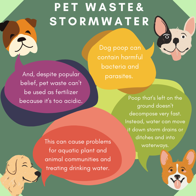Pet Waste Stormwater