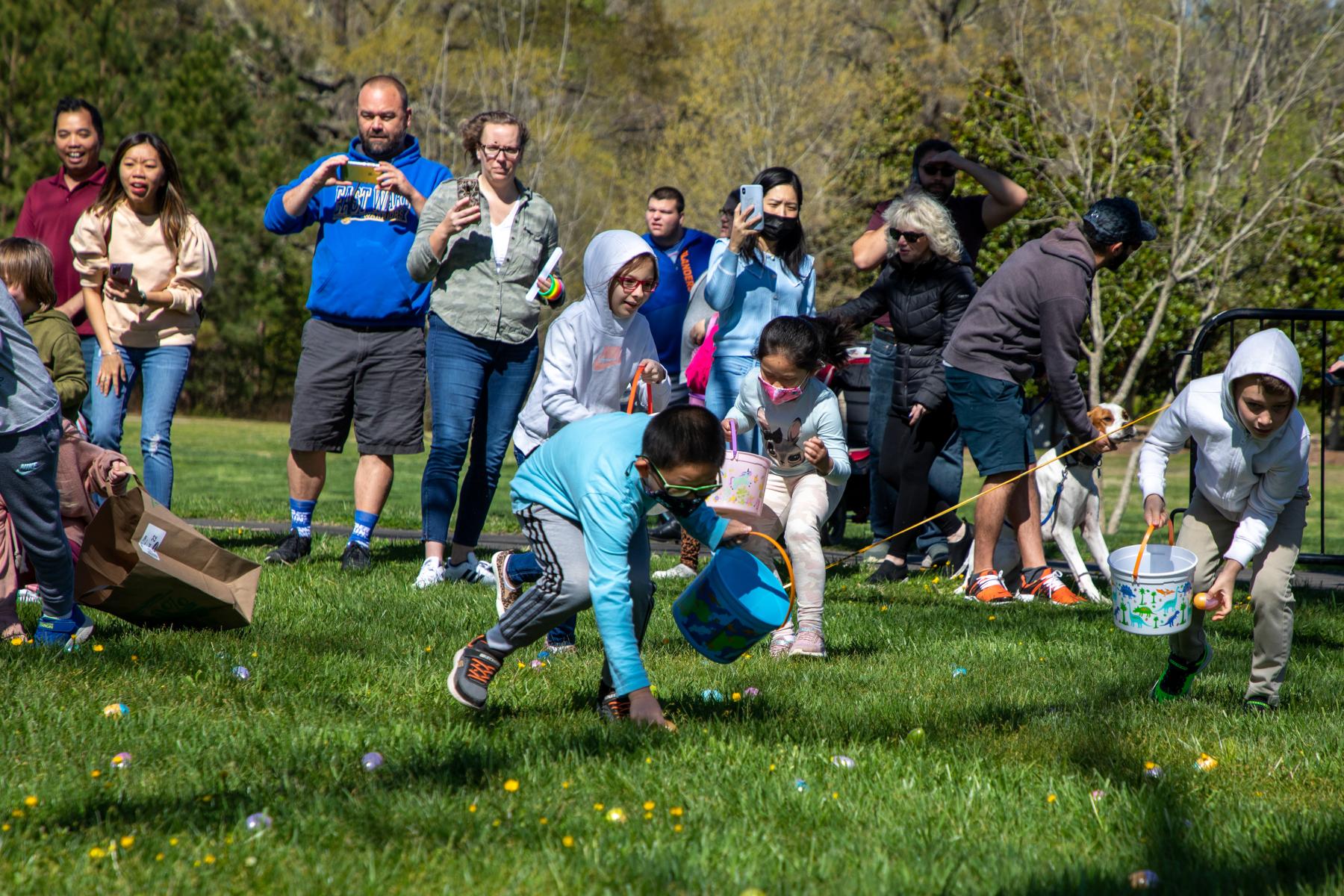 Easter Egg Hunt 6