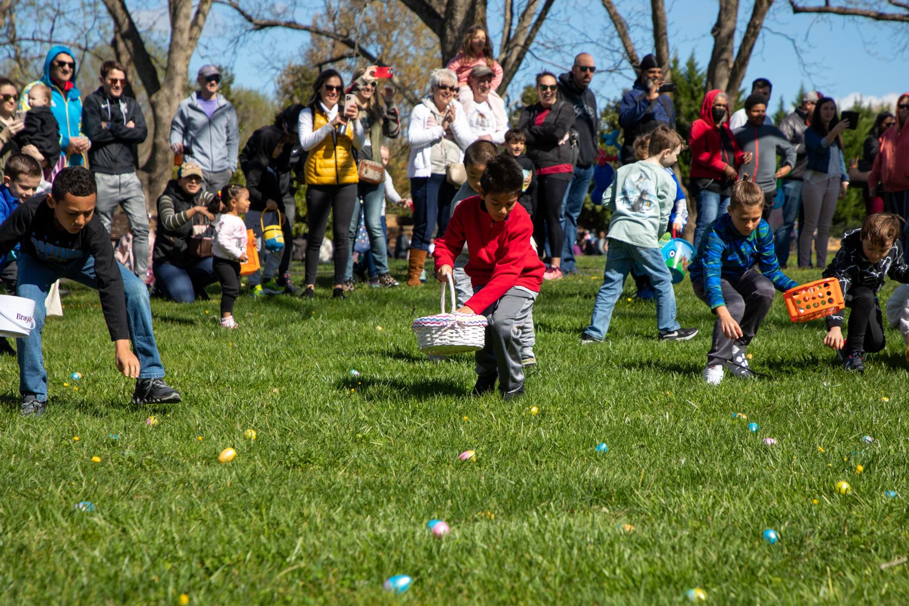 Easter Egg Hunt 5
