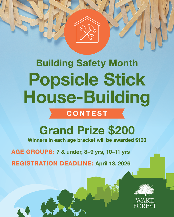 Popsicle Stick Contest