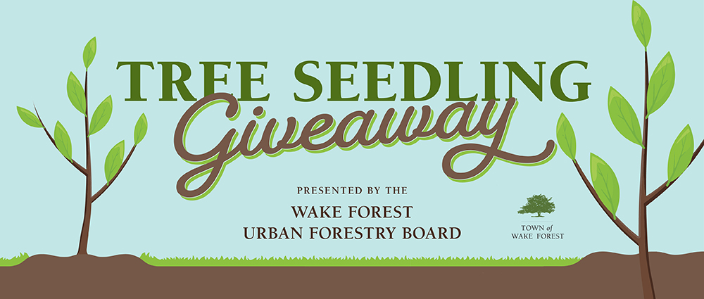Tree Seedling Giveaway