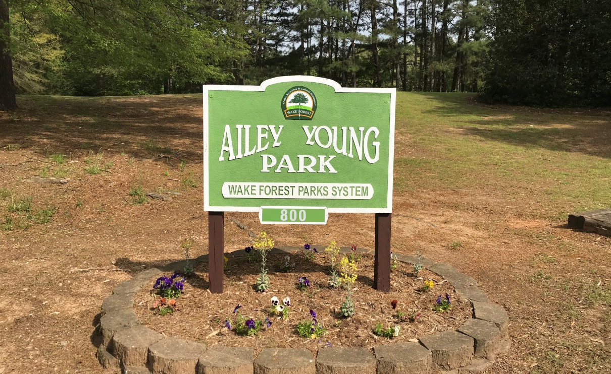 Ailey Young Sign