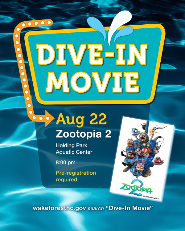 Dive-In Movie
