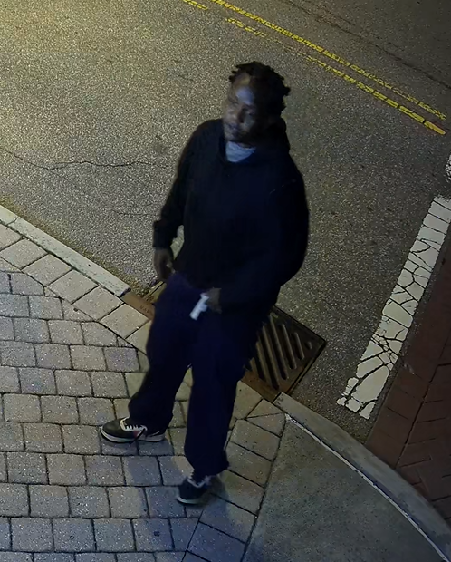 Suspect 2