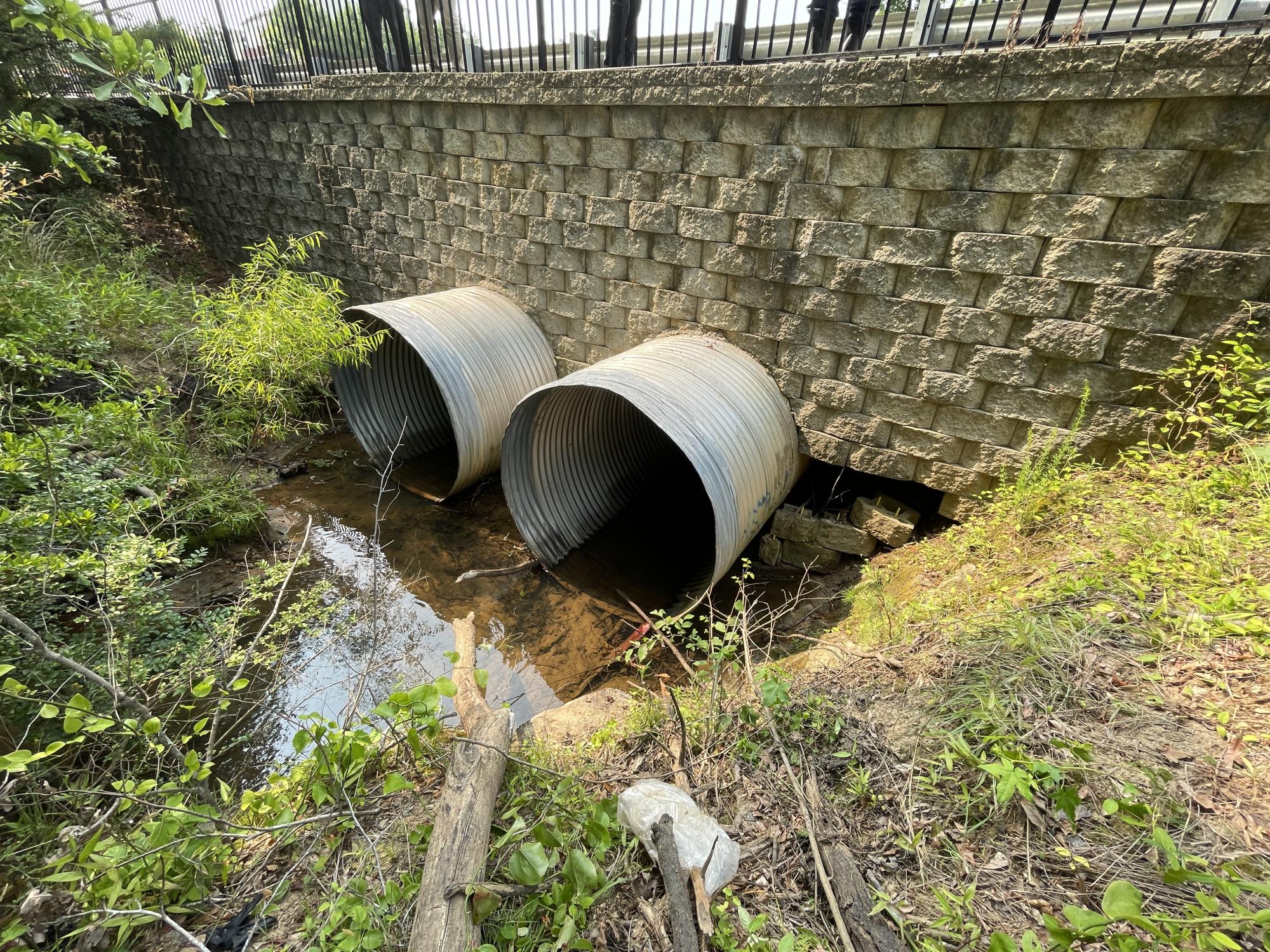 Dunn Creek Culvert Replacement – Juniper Avenue