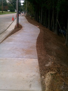 Concrete sidewalk section