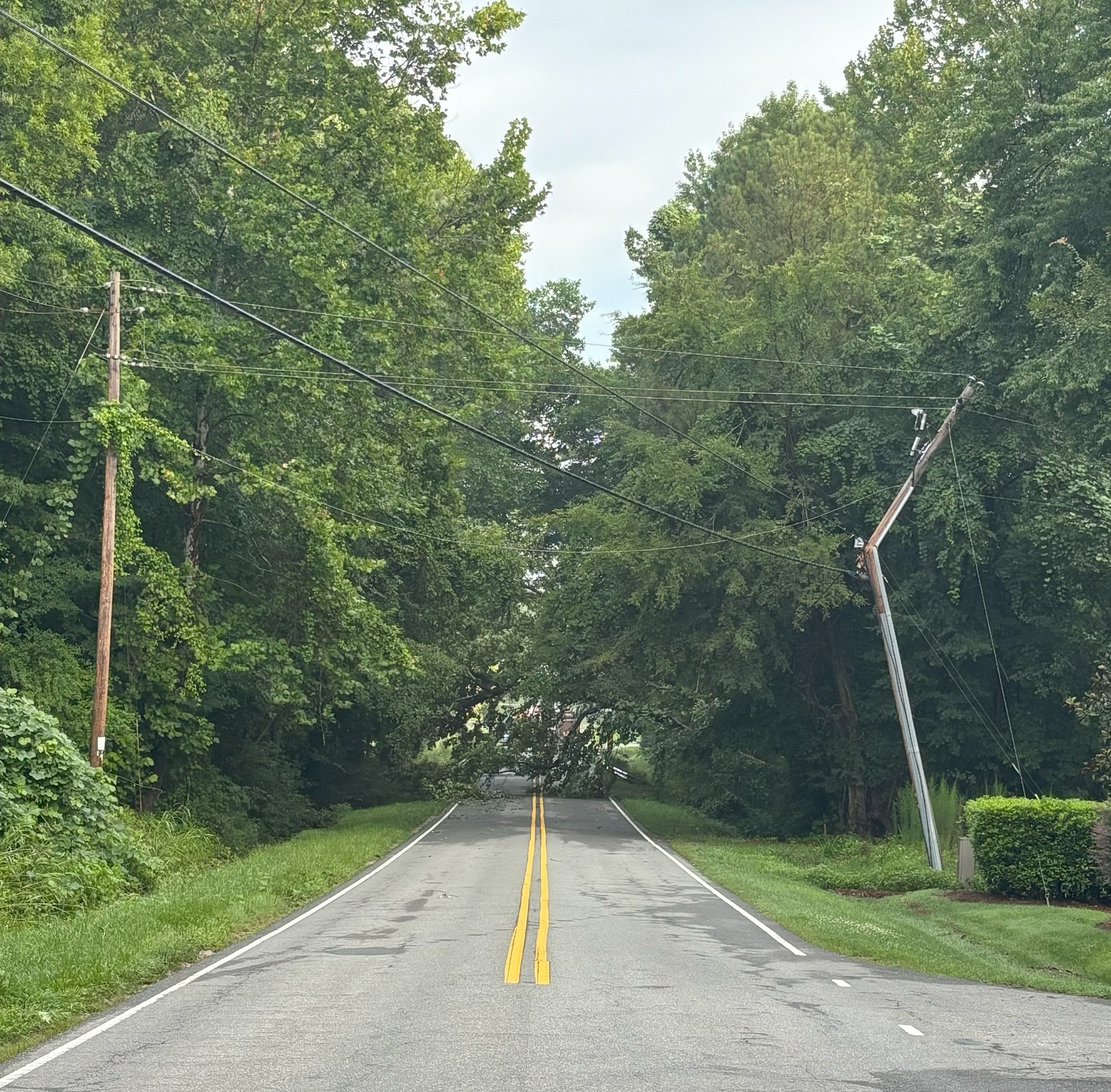 Jenkins Road